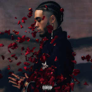 亚洲A片一级在线观看
