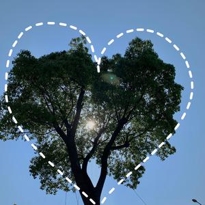 亚洲A片一级在线观看
