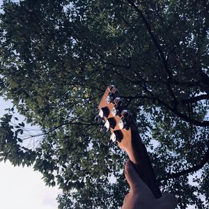 亚洲A片一级在线观看
