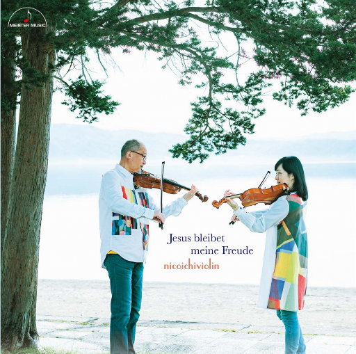 亚洲A片一级在线观看
